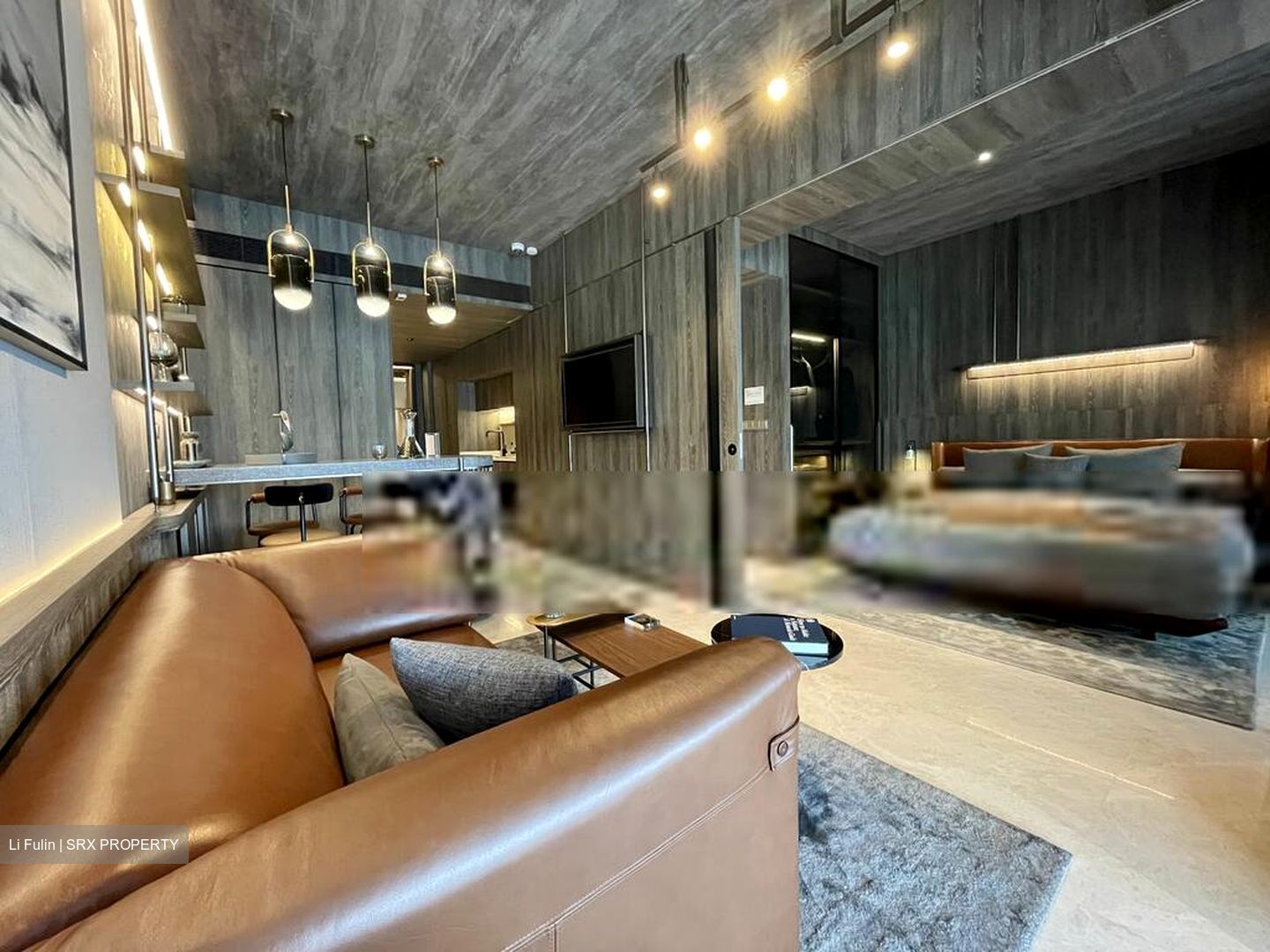 Harbourfront Avenue (D4), Condominium #598710481
